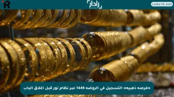 «فرصة ذهبية» التسجيل في الروضة 1446 عبر نظام نور قبل إغلاق الباب